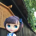 角館の写真_209382