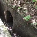 第三砲台跡の写真_209427