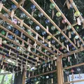 川越氷川神社の写真_209487