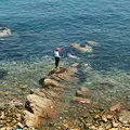 友ヶ島 池尻浜の写真_209644