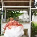 喫茶ニワトリの写真_209910