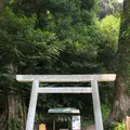 伊豆山神社の写真_209936