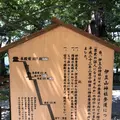 伊豆山神社の写真_209939
