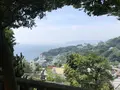 伊豆山神社の写真_209940