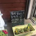 昭和屋の写真_210370