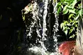余呉湖の写真_210821