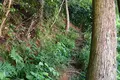 余呉湖の写真_210830