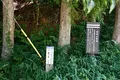 余呉湖の写真_210837