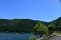 余呉湖の写真_210840