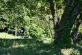 余呉湖の写真_210848
