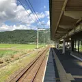 余呉湖の写真_210854