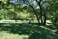 余呉湖の写真_210856