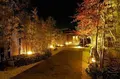 宮前平源泉　湯けむりの庄の写真_211243