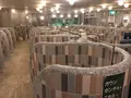 カバーナの写真_211501