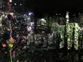 ポーラ美術館の写真_211726