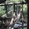 祖谷のかずら橋の写真_211780