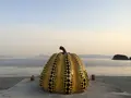 ベネッセハウス ミュージアムの写真_212013