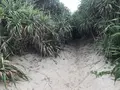 ハートロックの写真_212125