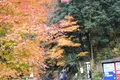 九酔渓の写真_212202