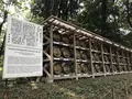 明治神宮の写真_212404