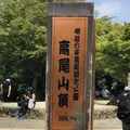高尾山の写真_212568