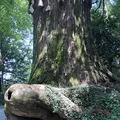 高尾山の写真_212570