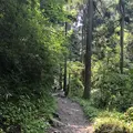 高尾山の写真_212571