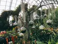ガーデンズ・バイ・ザ・ベイの写真_212583