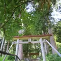 鎌倉神社の写真_212588