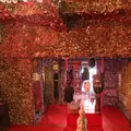 黄金の遊技場の写真_212673
