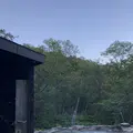 熊の湯の写真_212701