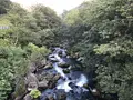 熊の湯の写真_212707