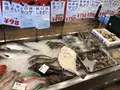 道の駅知床・らうすの写真_212741