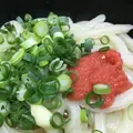 さか枝うどん 南新町店の写真_212748