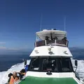 観光船・民宿はまなすの写真_212827