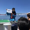 観光船・民宿はまなすの写真_212829