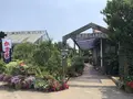 九十九里ハーブガーデンの写真_212893