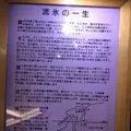 北こぶし知床 ホテル＆リゾートの写真_212991