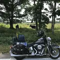 日高町の写真_213201