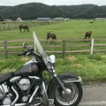 日高町の写真_213203