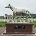 日高町の写真_213209