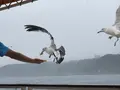 浄土ヶ浜の写真_213403