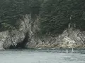 浄土ヶ浜の写真_213404