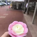 道の駅おが オガーレの写真_213414