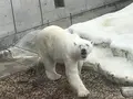 男鹿水族館GAOの写真_213416