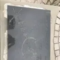 入道崎の写真_213430