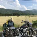 音更町の写真_213560
