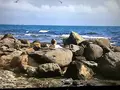 セセキ温泉の写真_213679
