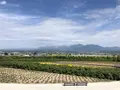ファーム富田の写真_213732