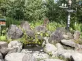 原始の泉の写真_213735